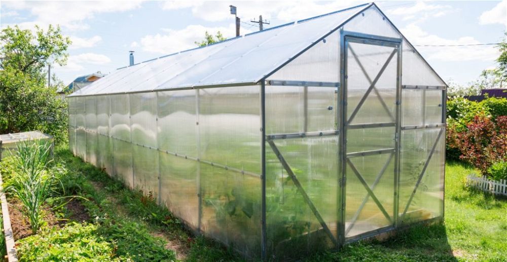 5 Best Polycarbonate Greenhouses UK (2021 Review)