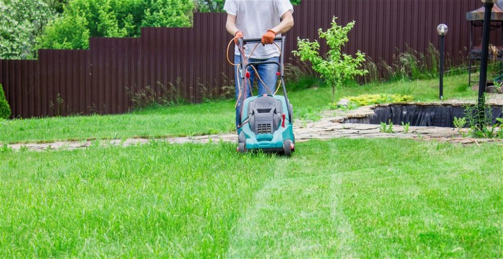 best-roller-lawn-mower