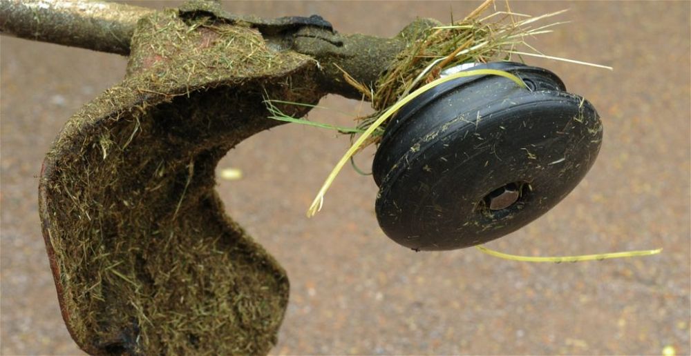best-strimmer-head