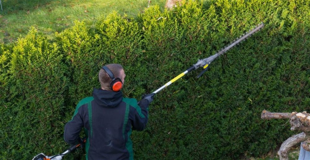 best pole hedge trimmers