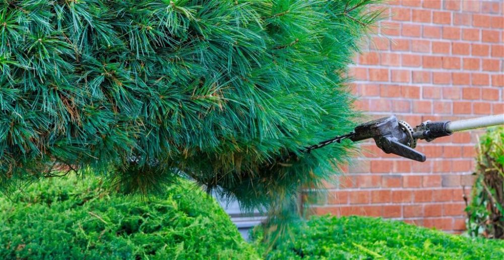 best-cordless-garden-multi-tool