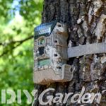 best-garden-wildlife-camera