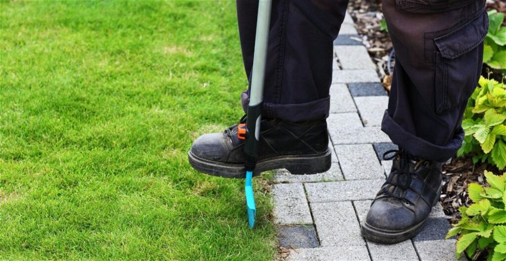 best-lawn-edger