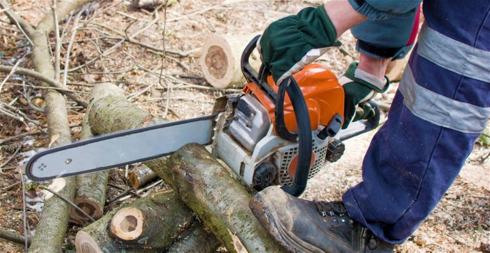 best-petrol-chainsaw
