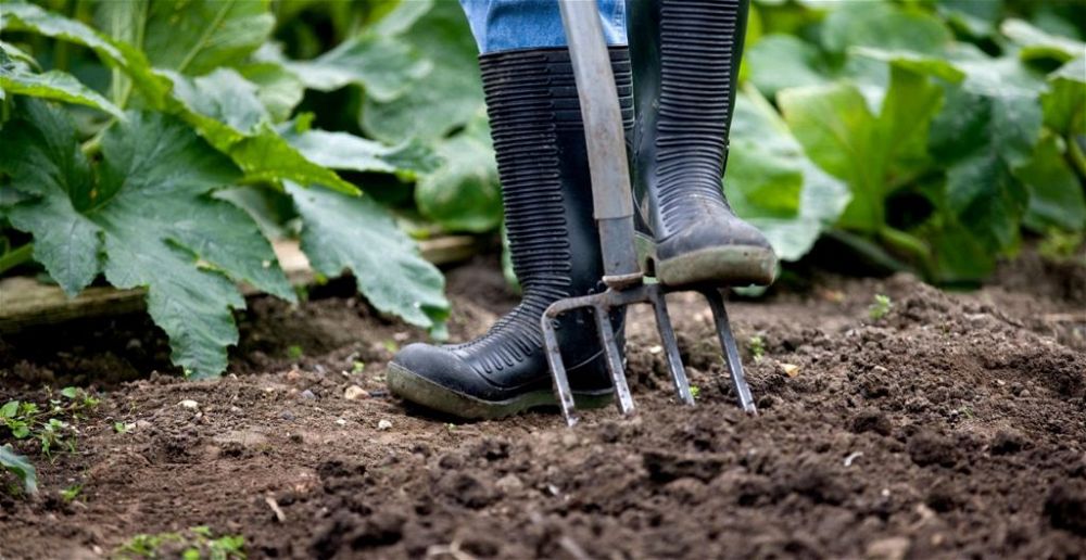 best-wellies-for-gardening