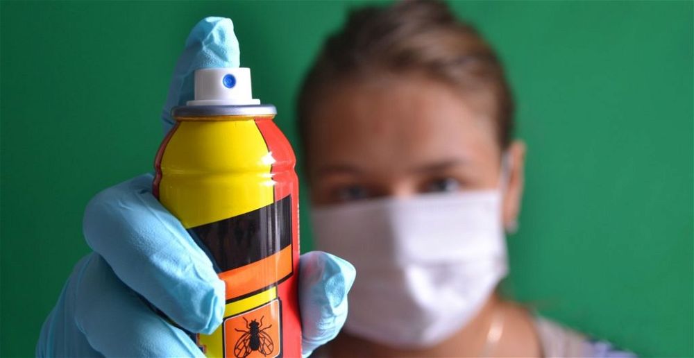 best-fly-killer-spray