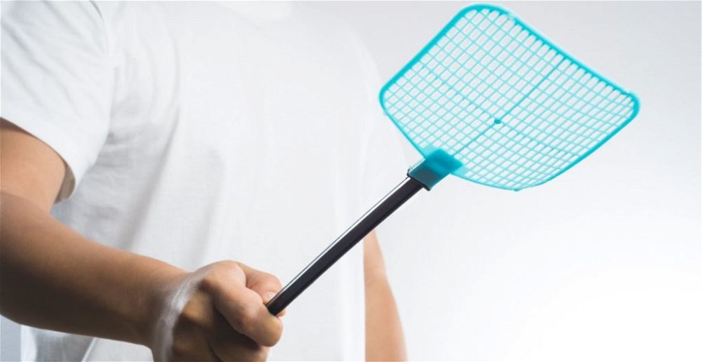 best-fly-swatter
