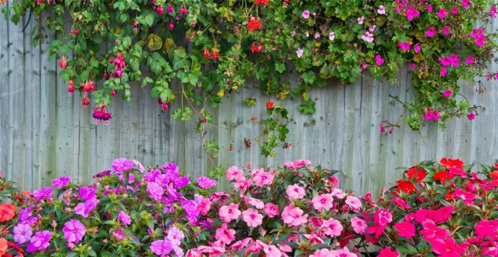 garden-fence-ideas