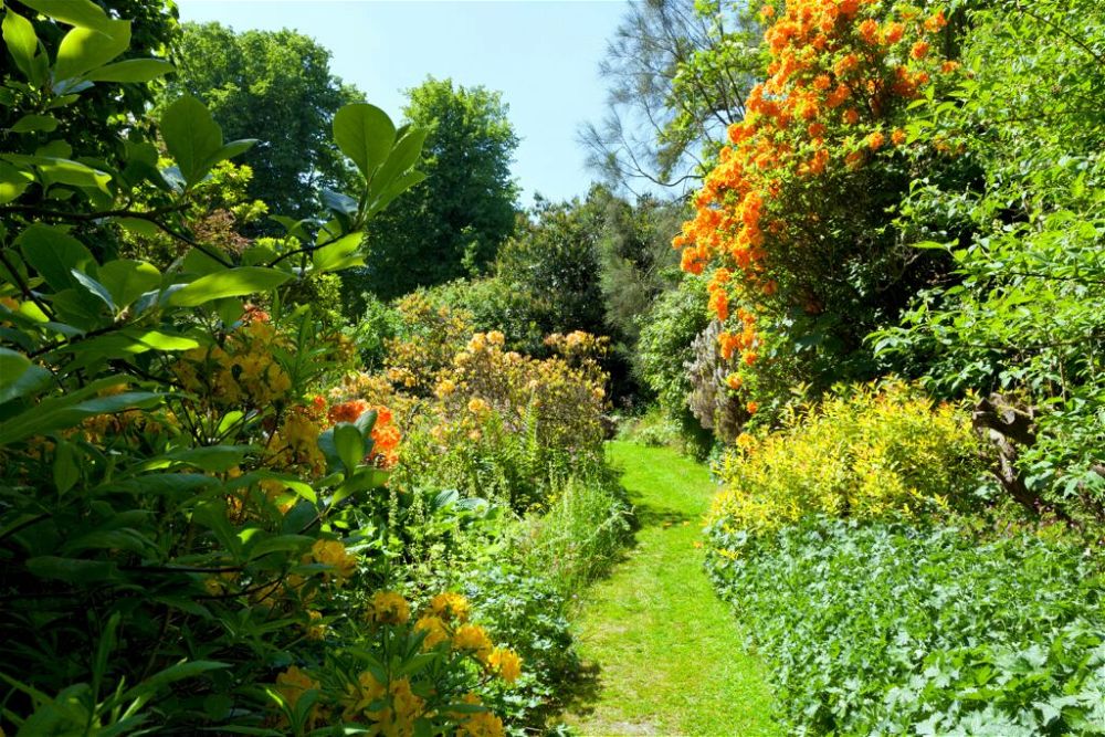 10. Cottage Garden Path