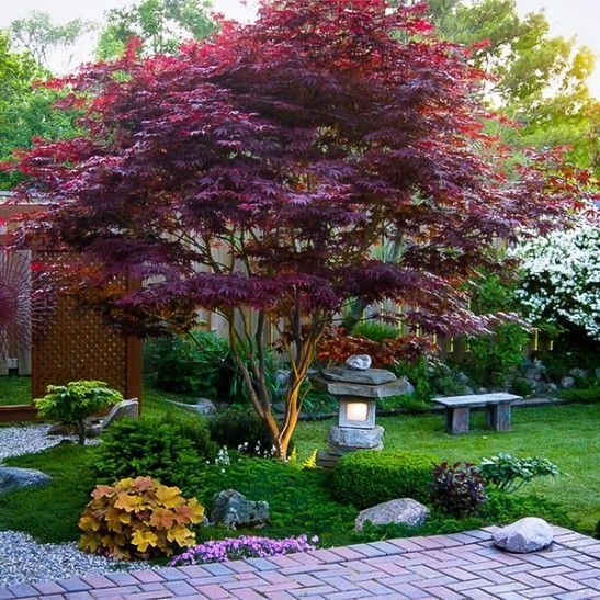 28 Japanese Garden Ideas For A Beautifully Zen Outdoor Space Diy Garden 5992