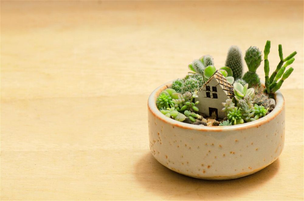 8. Miniature Fairy Garden