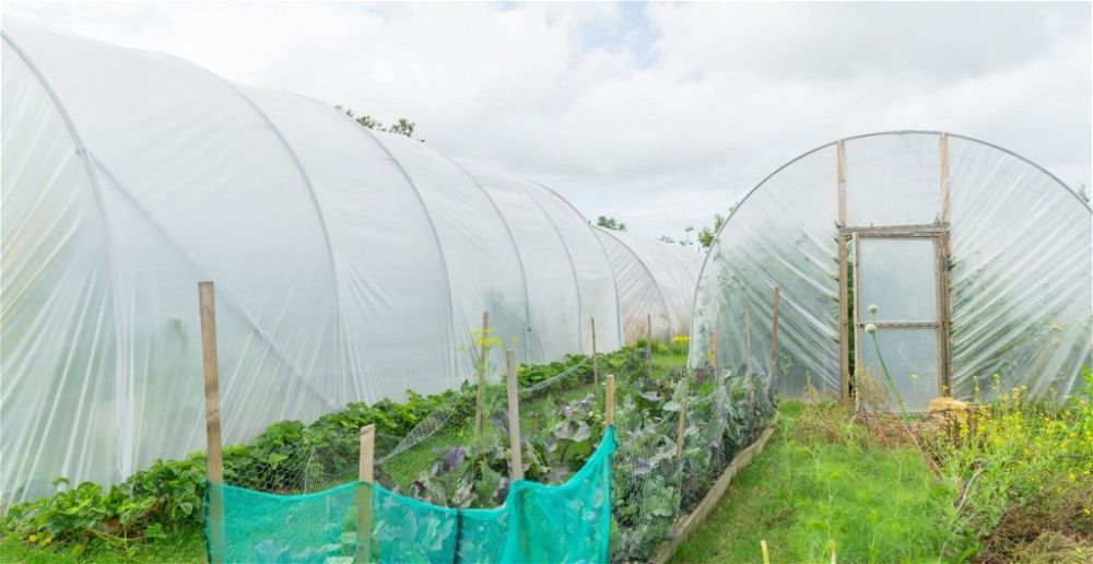 best-heavy-duty-plastic-sheeting