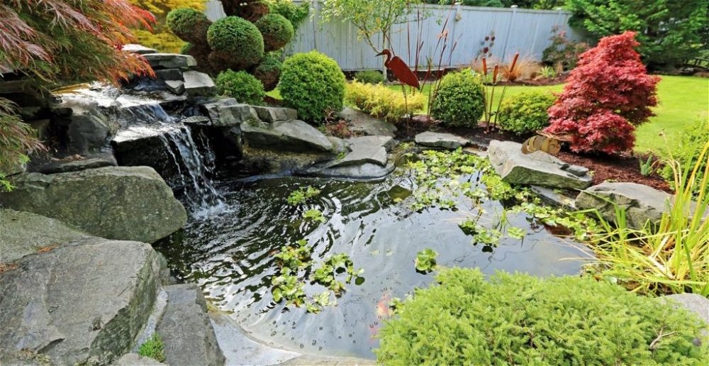 garden-pond-ideas