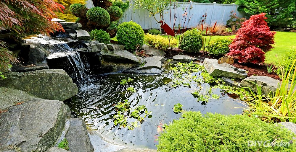 garden-pond-ideas