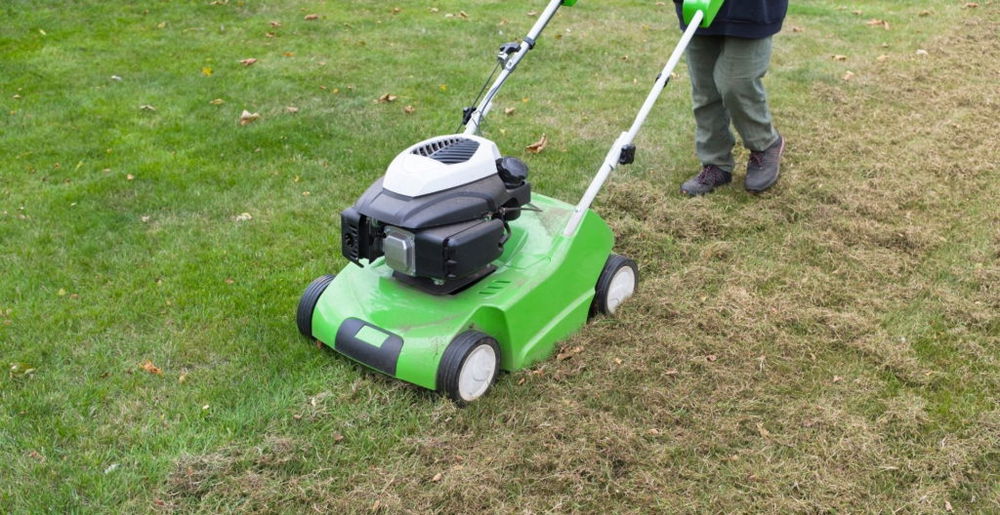 best-petrol-scarifier