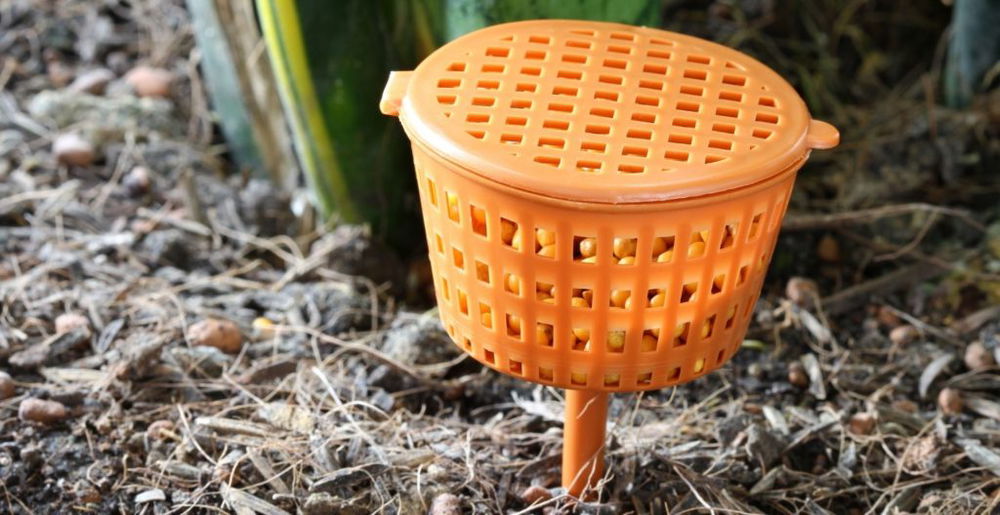 best-slow-release-fertilizer
