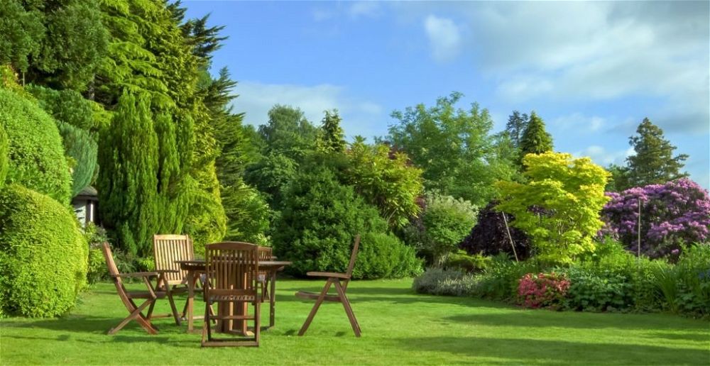 creating-an-air-quality-garden