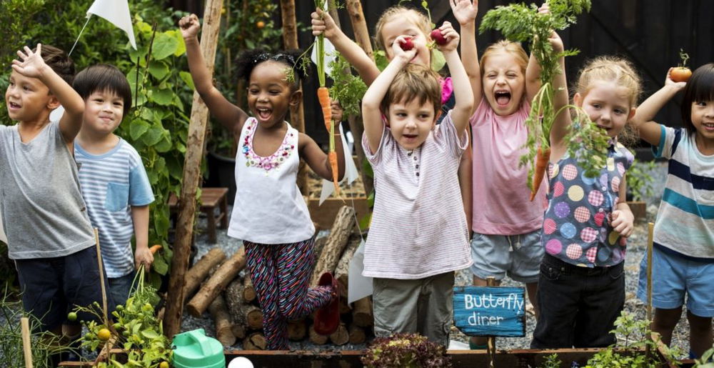 school-garden-growing-project-resource