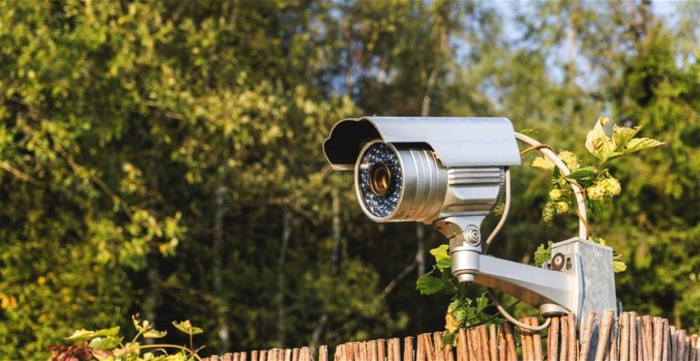 how-to-burglar-proof-your-garden