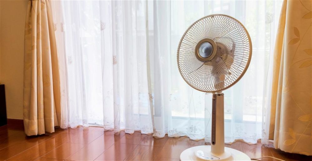 best-pedestal-fan