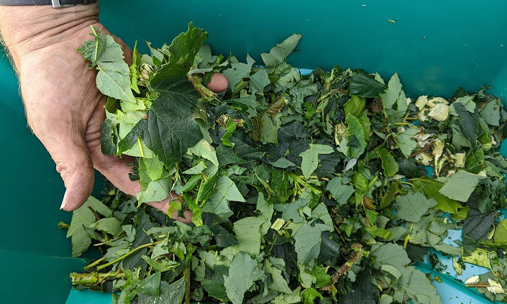 what-to-do-with-garden-shredder-waste