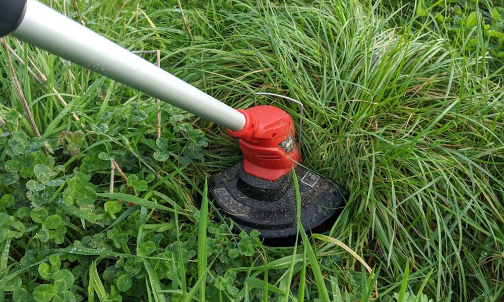 How-to-Use-a-Strimmer-on-Long-Grass