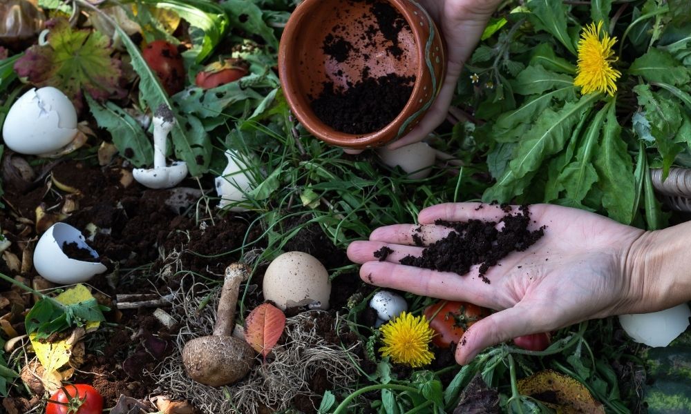 composting-with-coffee-grounds