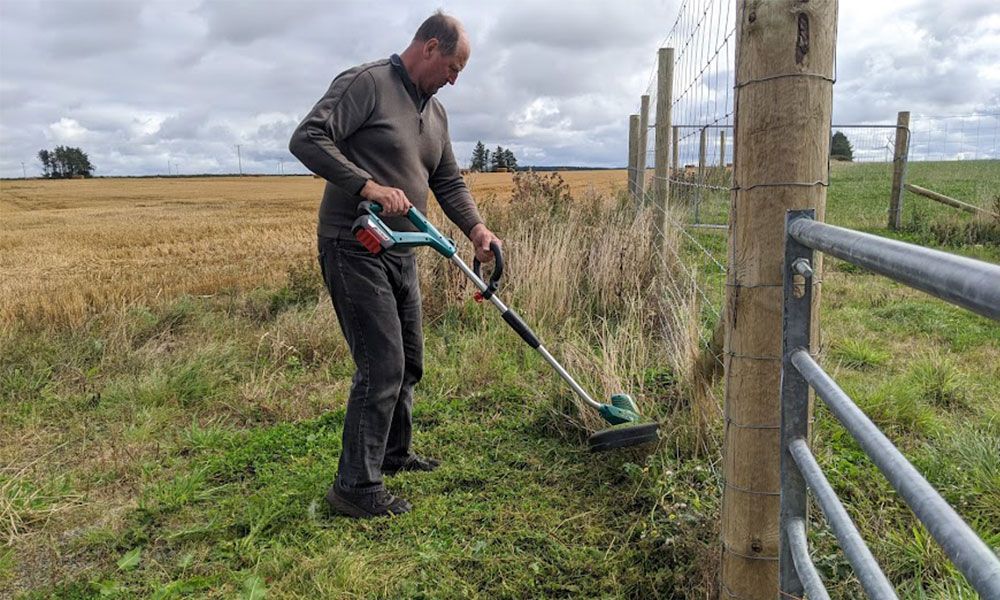 how-to-use-a-strimmer