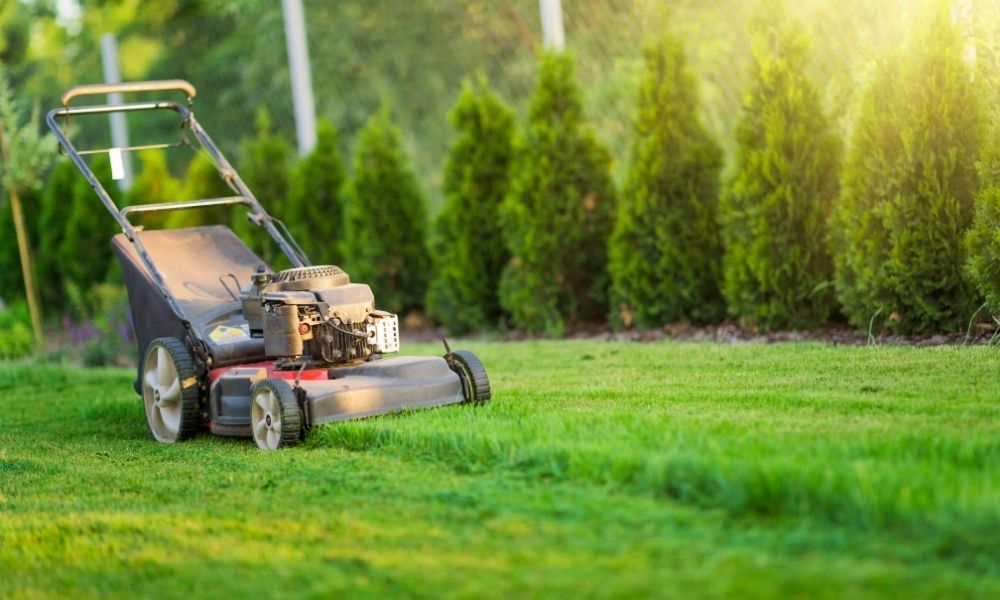 what-height-should-i-cut-my-grass