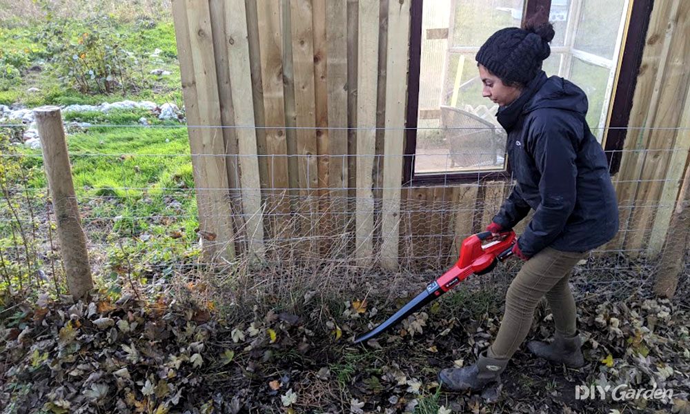 What-are-the-Best-Ways-to-Pick-Up-Leaves-Quickly