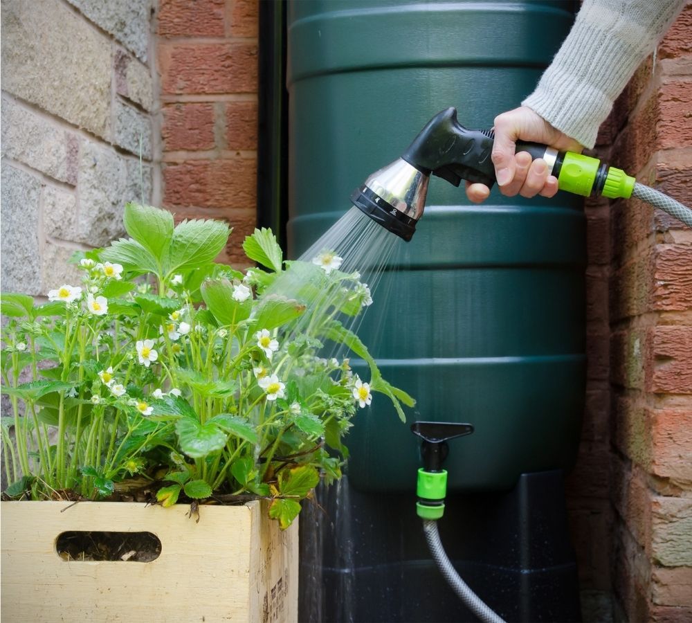 how-to-keep-watering-economical