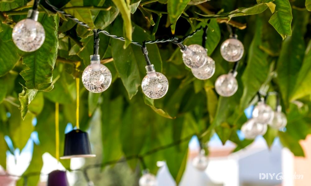 how-to-store-solar-garden-lights-in-winter