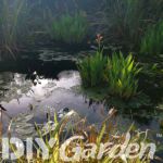 best-pond-water-treatment-review-uk