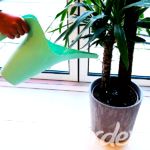 best-watering-can-uk-review